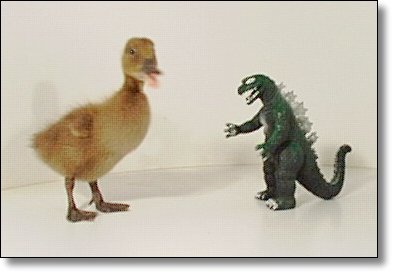 YEOW... a MONSTER!!