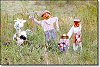 Scarecrows!