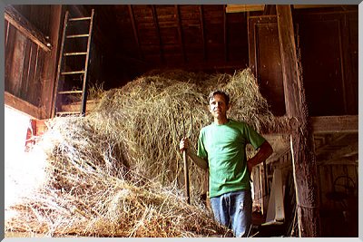 Filling the hayloft