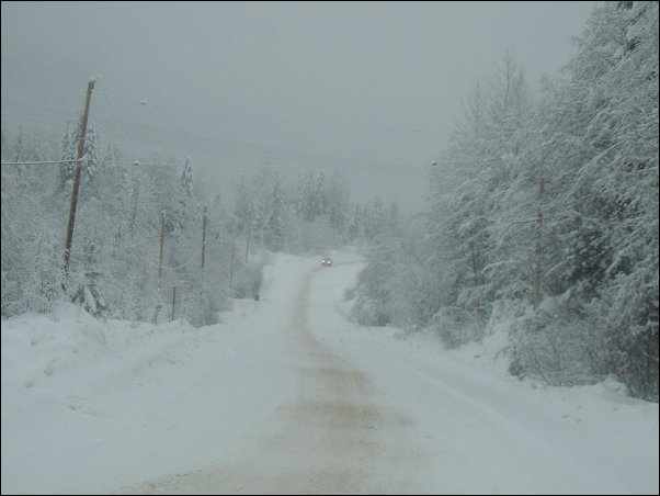 Terrace BC