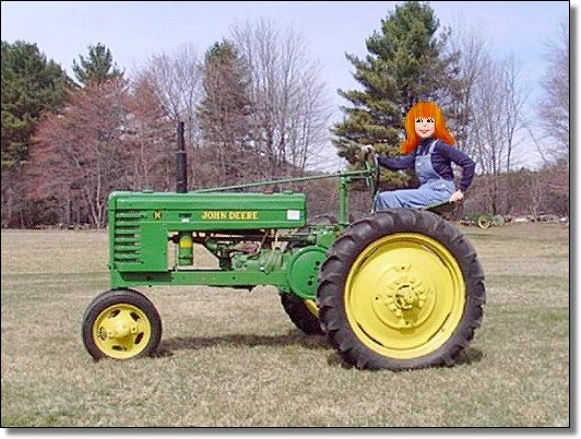 Isn't this a cute little tractor??!!